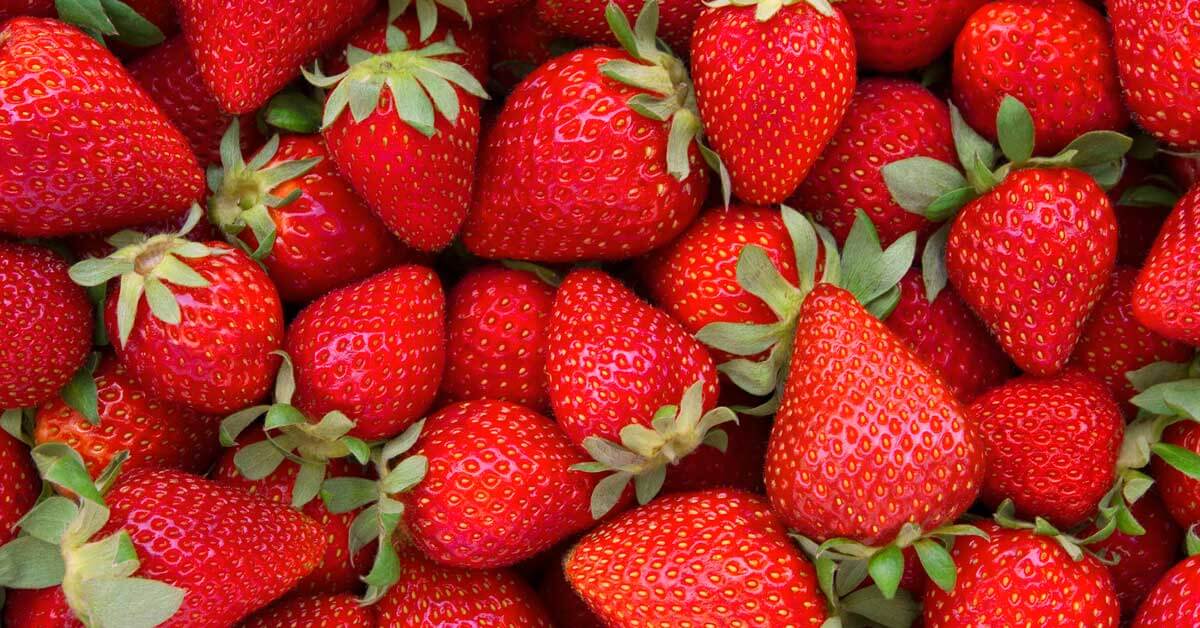 Europske jagode intenzivno kontaminirane PFAS pesticidima i pesticidima koji remete endokrini sustav